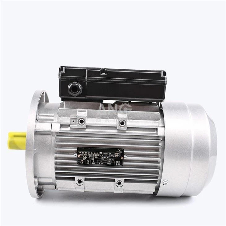 Tupai Sangkar Motor