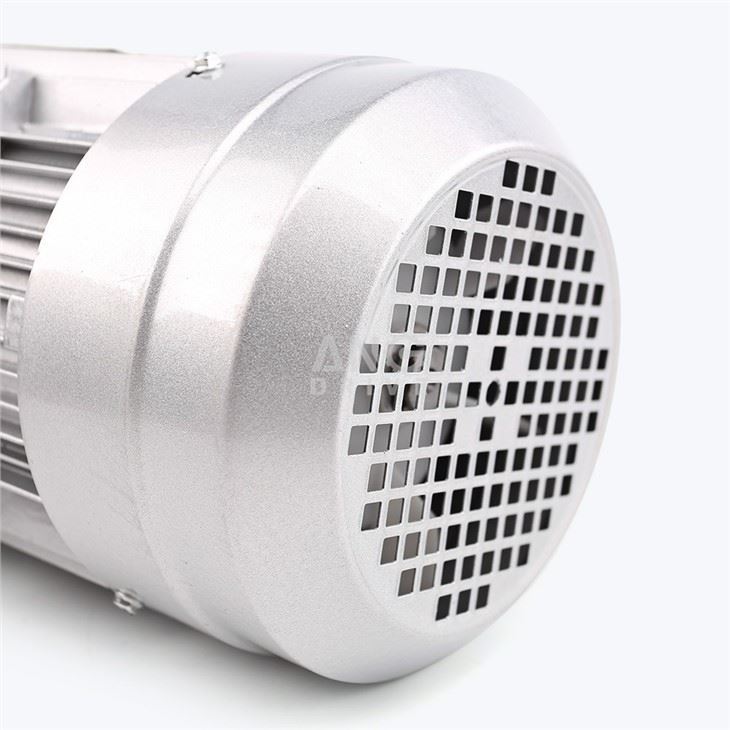Squirrel Cage Motor