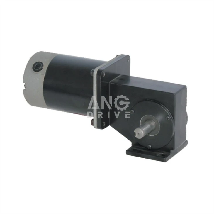 bldc worm gear motor