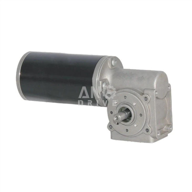 dc worm drive motor