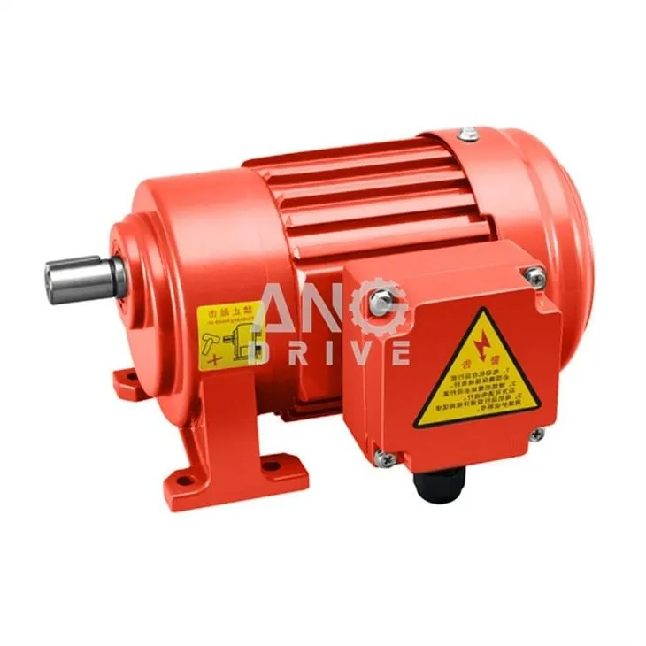 electric motor reducer