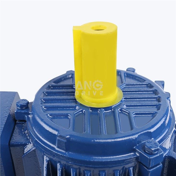 45KW Motor