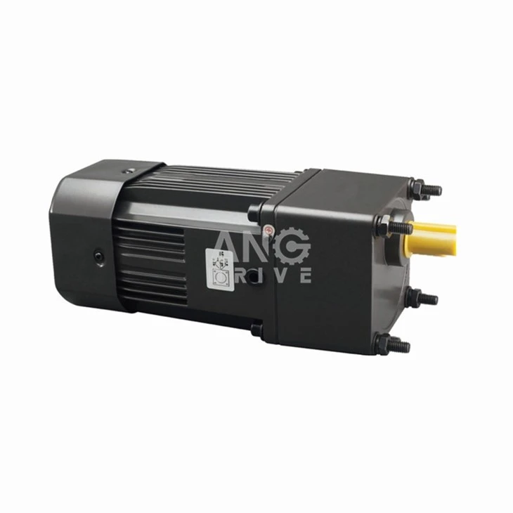 AC gear motor with screw