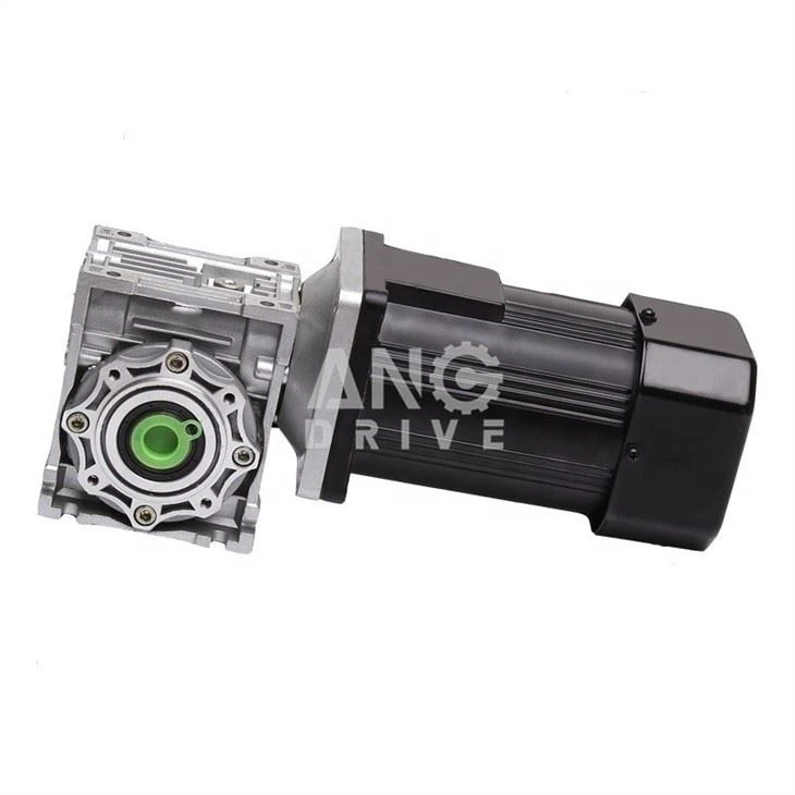 NMRV+micro ac motor