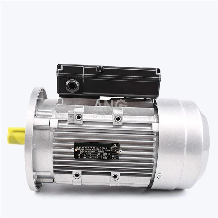 electric motor