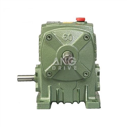 Kotak Gear Lifter Worm