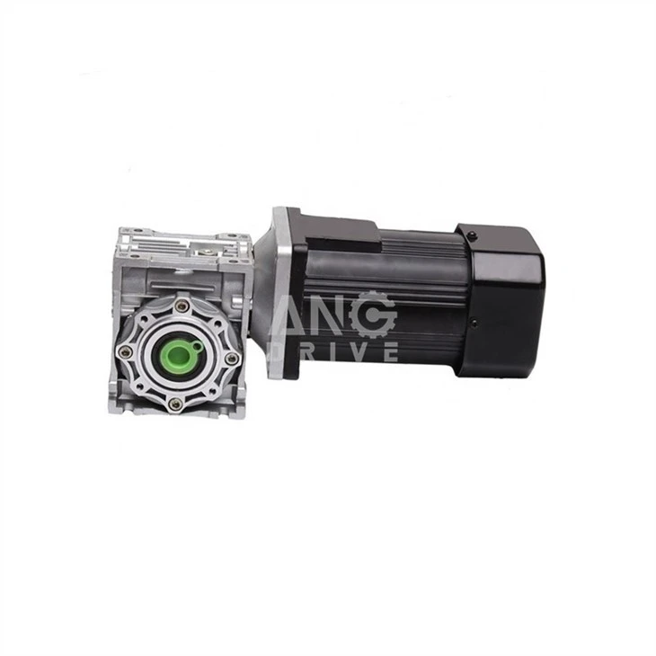 Worm Gearbox Motor