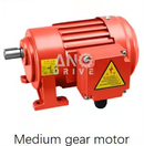 Medium gear motor Medium gear motor